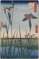 Utagawa Hiroshige, One Hundred Famous Views of Edo, Horikiri Iris Garden