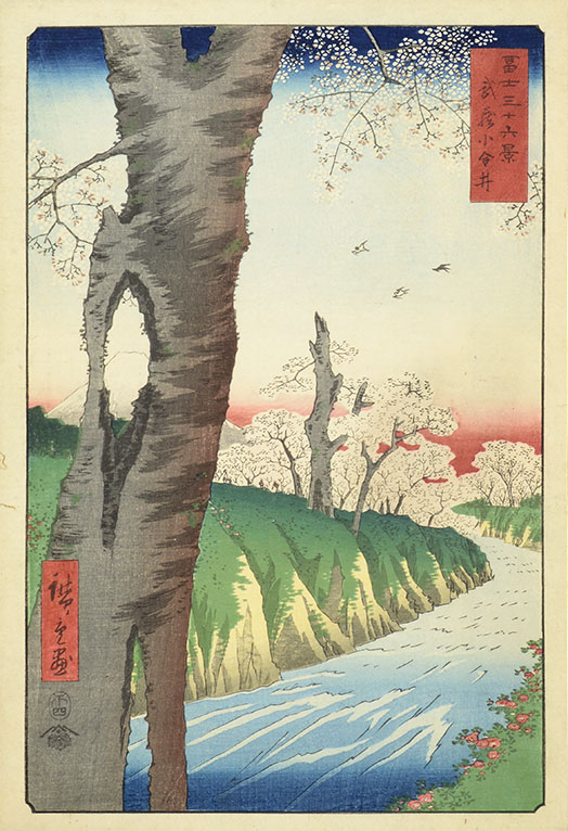 歌川広重　冨士三十六景　武蔵小金井　1858（安政5）年